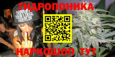 apvp Можайск