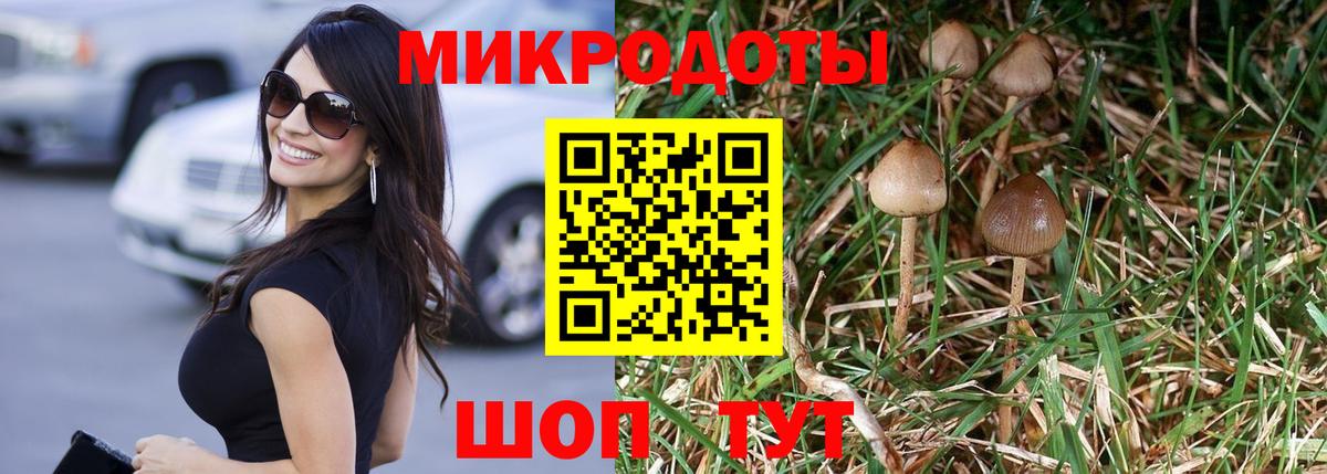 Псилоцибиновые грибы MAGIC MUSHROOMS Стрежевой